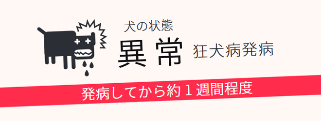 【狂犬病】あまり知られていない知識